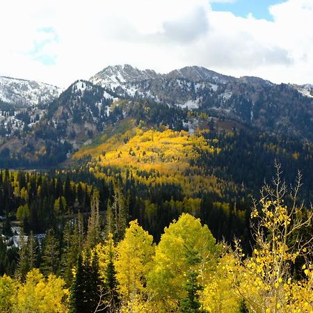 Cottonwood Heights - Lower Level Of Mountain Home! Екстериор снимка